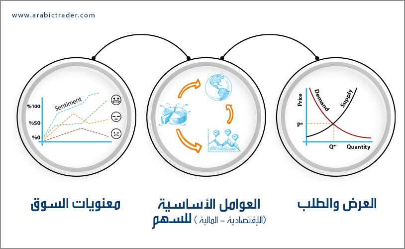ما الذي يحرك أسعار الأسهم ؟